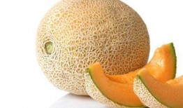 睡鼠吃哈密瓜吗,揭秘它们对哈密瓜的喜爱之谜