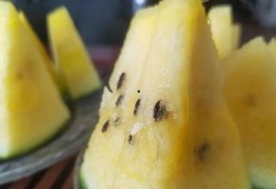 吃瓜密码本,探寻娱乐圈背后的真实故事