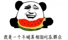 星宇吃瓜群众是真的吗,真相究竟如何？