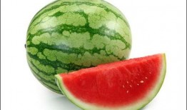 甘肃冬天吃的瓜,甘肃冬季特色瓜果美食之旅