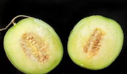 吃瓜为什么过敏,探寻过敏源背后的真相