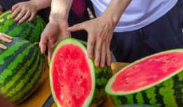 大学吃瓜照片,揭秘大学里的那些“吃瓜”瞬间